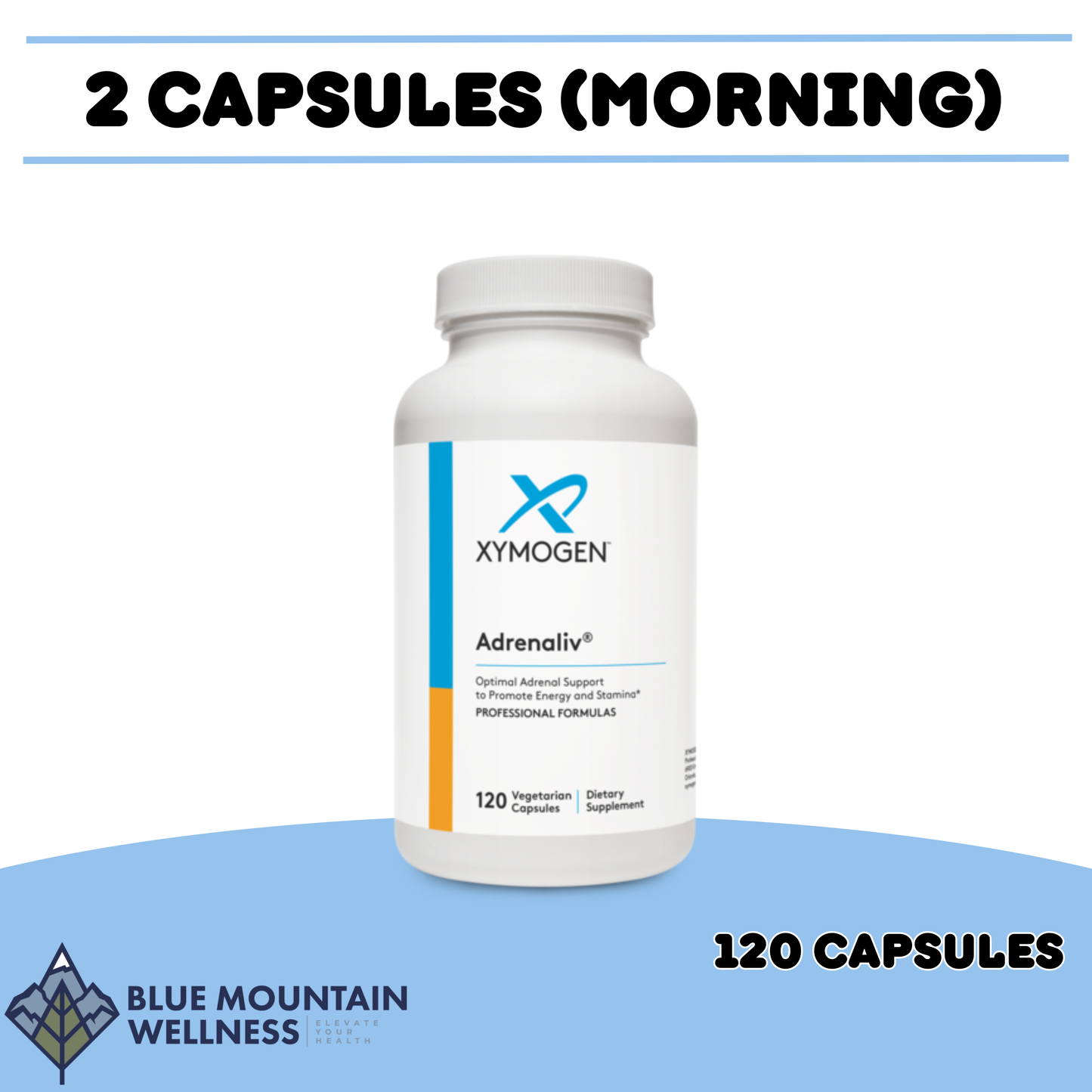 Post-Viral & Long Haul Recovery Protocol